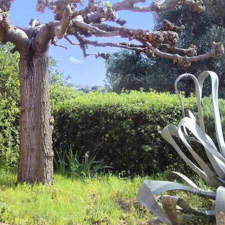 De 2 Chambres Avec Jardin Clos Et Wifi A Sur A 1 Km De La *